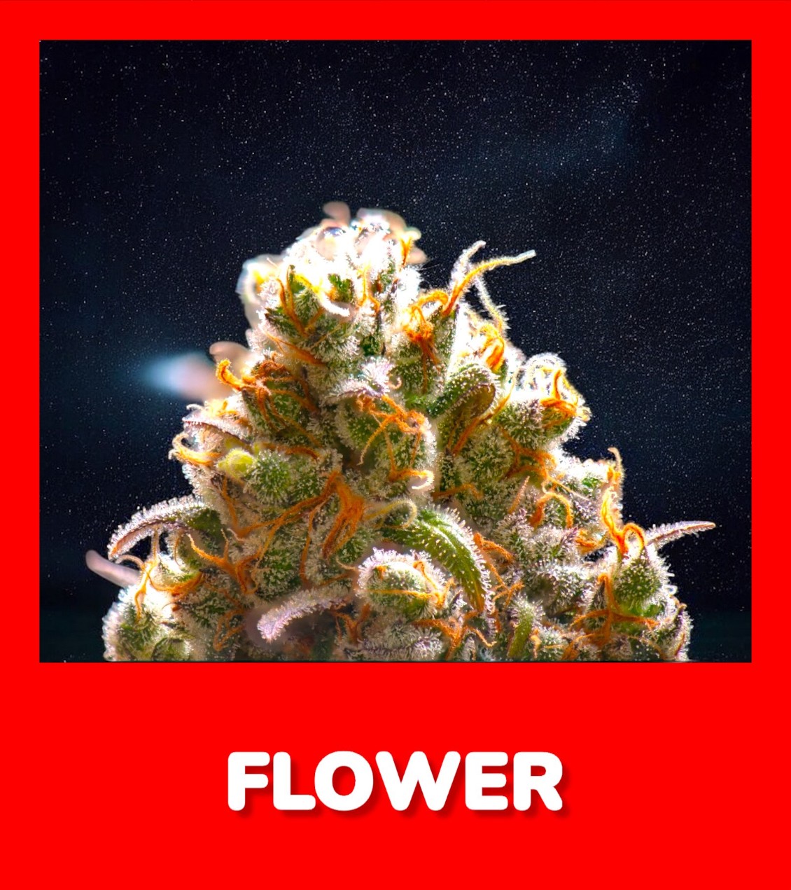 flower card