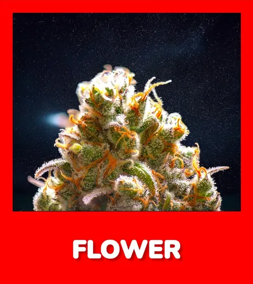 shop weed flower now